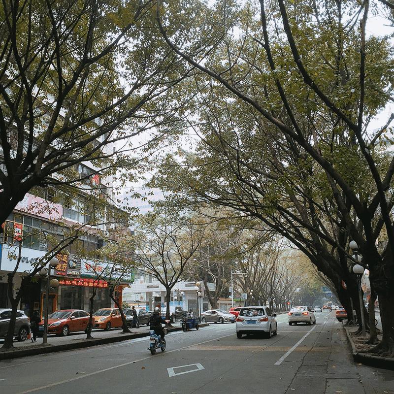 我跟你们说，千万不要离开惠州！因为这些东西永远无法代替