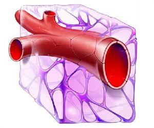 痛风要警惕,痛风警惕