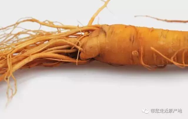 人生需要不断的修炼,人生就要不断感悟和认知