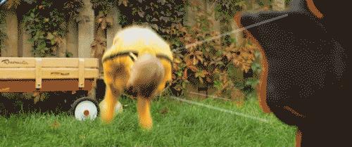 推拿手法三步九法是哪些,推拿手法在家怎么做