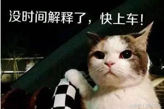 国足赢了教练反应,国足赢了教练的反应