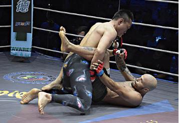 巴西柔术综合格斗,巴西柔术与综合格斗