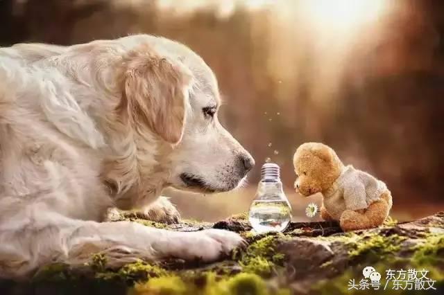 小院里的大世界,小院子大世界