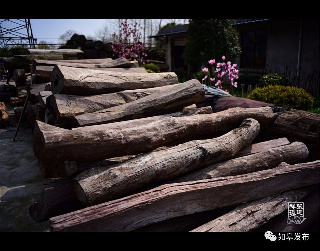 定了!从今天起,如皋白蒲古镇将列入每个人的旅行清单!