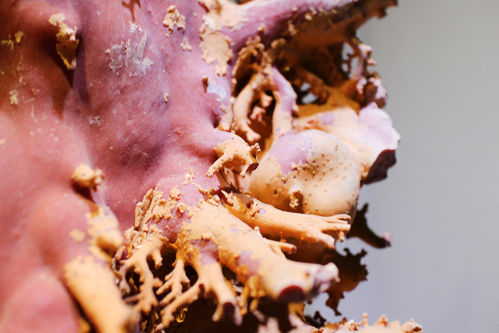 台湾博物馆红珊瑚是真的吗,红珊瑚馆藏品欣赏