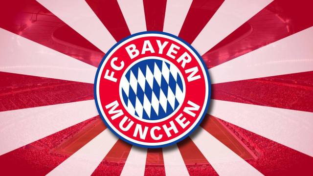 南部之星球迷版,南部之星慕尼黑