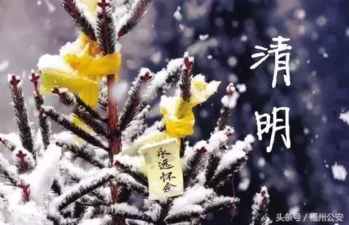 清明祭奠英烈简短诗歌,清明悼念英烈诗句