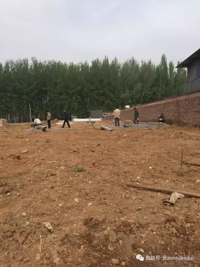 多肉为什么比较坑,多肉基础知识详解