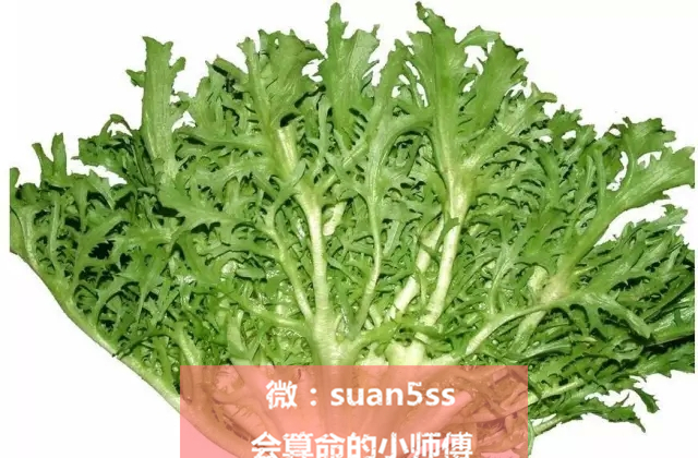 春天正是吃野菜的好时令,云南墨江时令野菜上市尝鲜正当时
