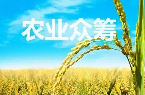 农业众筹新时代：网易全民养猪、苏宁卖大闸蟹、京东卖大米