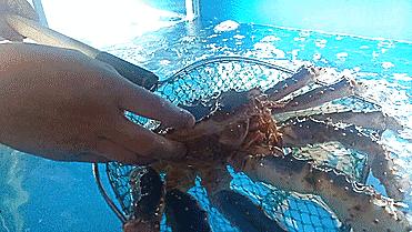 成都129元的海鲜自助餐地址,成都海鲜自助店排名前十名太古里