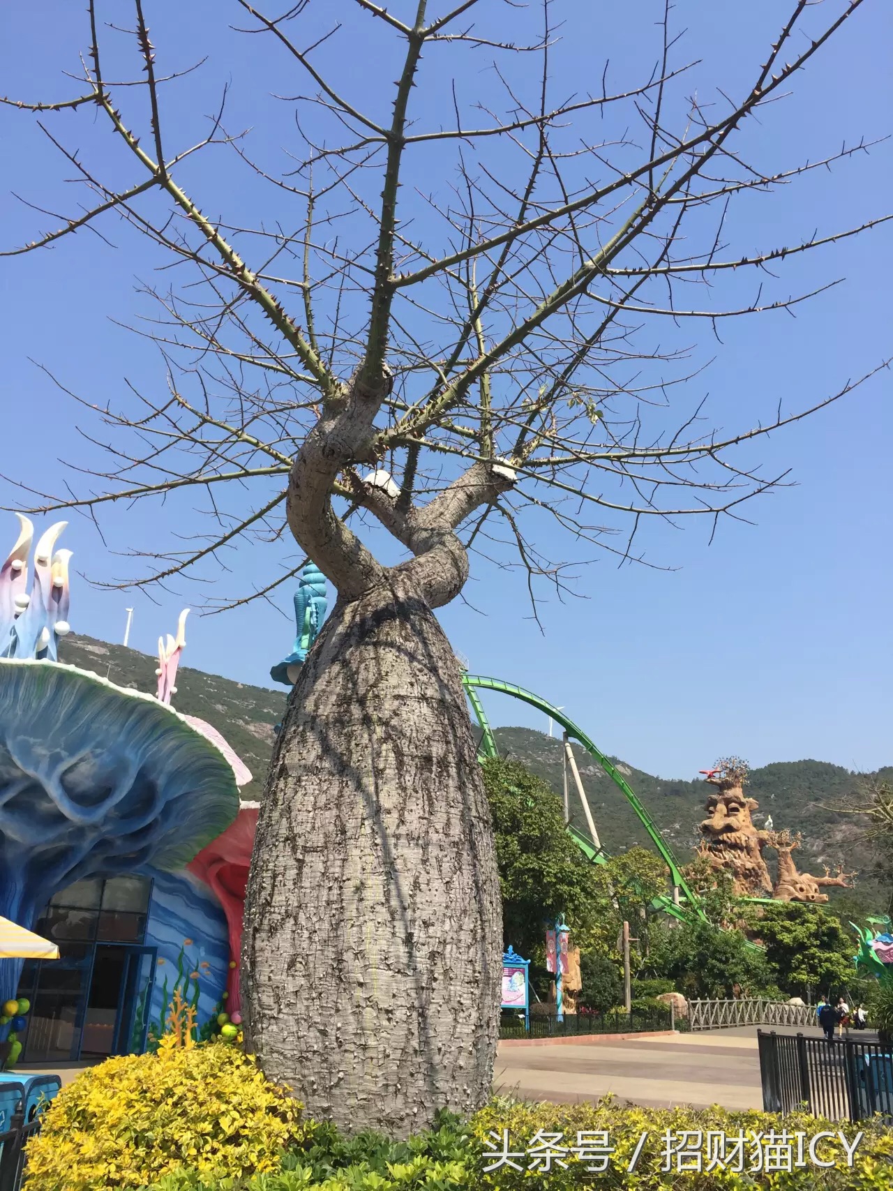 珠海长隆奇幻之旅,广州珠海长隆两天一夜攻略