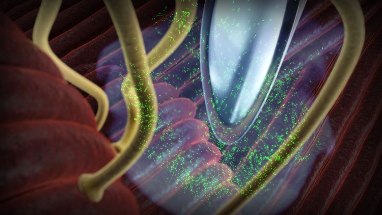 全世界最顶级的整形机构,盘点全球最疯狂的整形