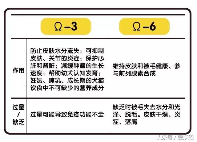 宠物鱼油应该怎么喂,宠物鱼油科普