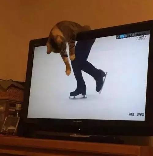 下雨天发个幽默朋友圈视频,下雨天发个幽默句子