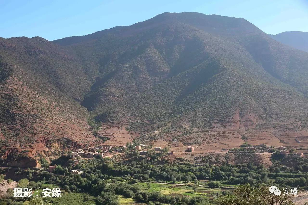 娌欐紶閲岀殑鐨囧,娌欐紶閲岀殑鐜嬪