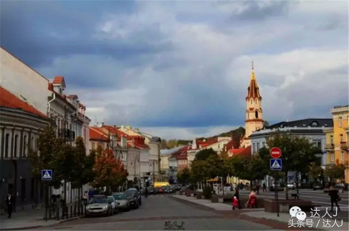 猜猜哪个国家连刺猬都有路牌？