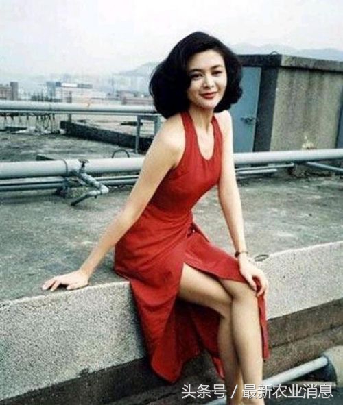 东北三个省影视明星前三名,有些人你根本不知道她是你的老乡