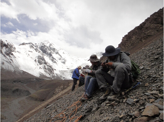 让人细思极恐的小故事野外,在野外的细思极恐的经历