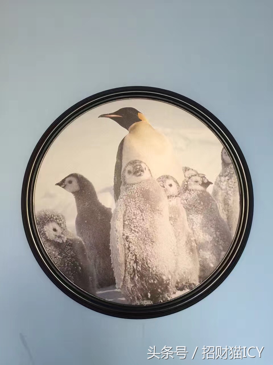 珠海长隆奇幻之旅,广州珠海长隆两天一夜攻略