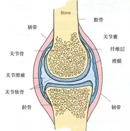 乍暖还寒注意预防感冒,乍暖还寒谨防感冒