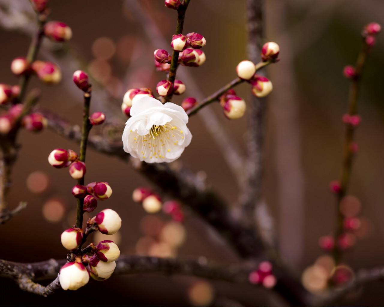 心灵休憩的驿站，老班长大锅台