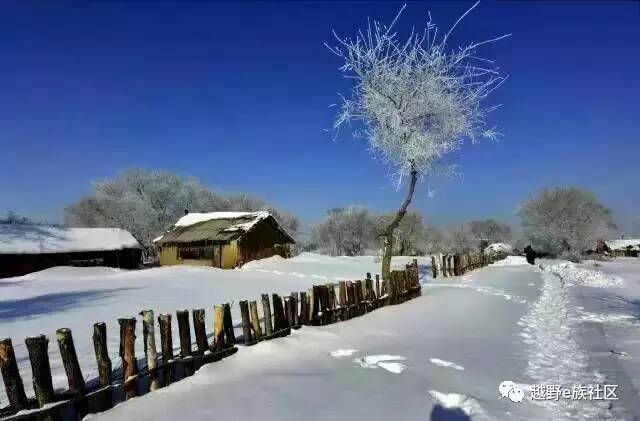 陪伴是最长情的告白——我和切诺基的故事