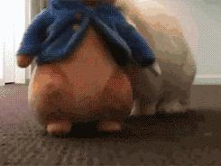 邂逅愚人节！别被兔兔蠢萌的外表所迷惑！