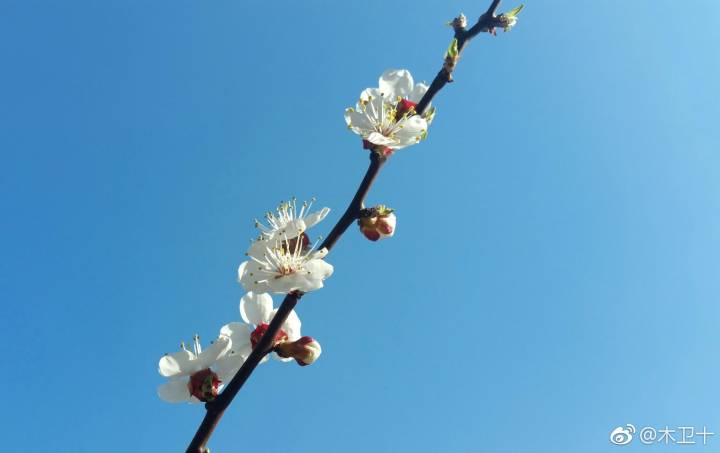 三天打鱼两天晒网有效果吗,三天打鱼两天晒网不能持之以恒