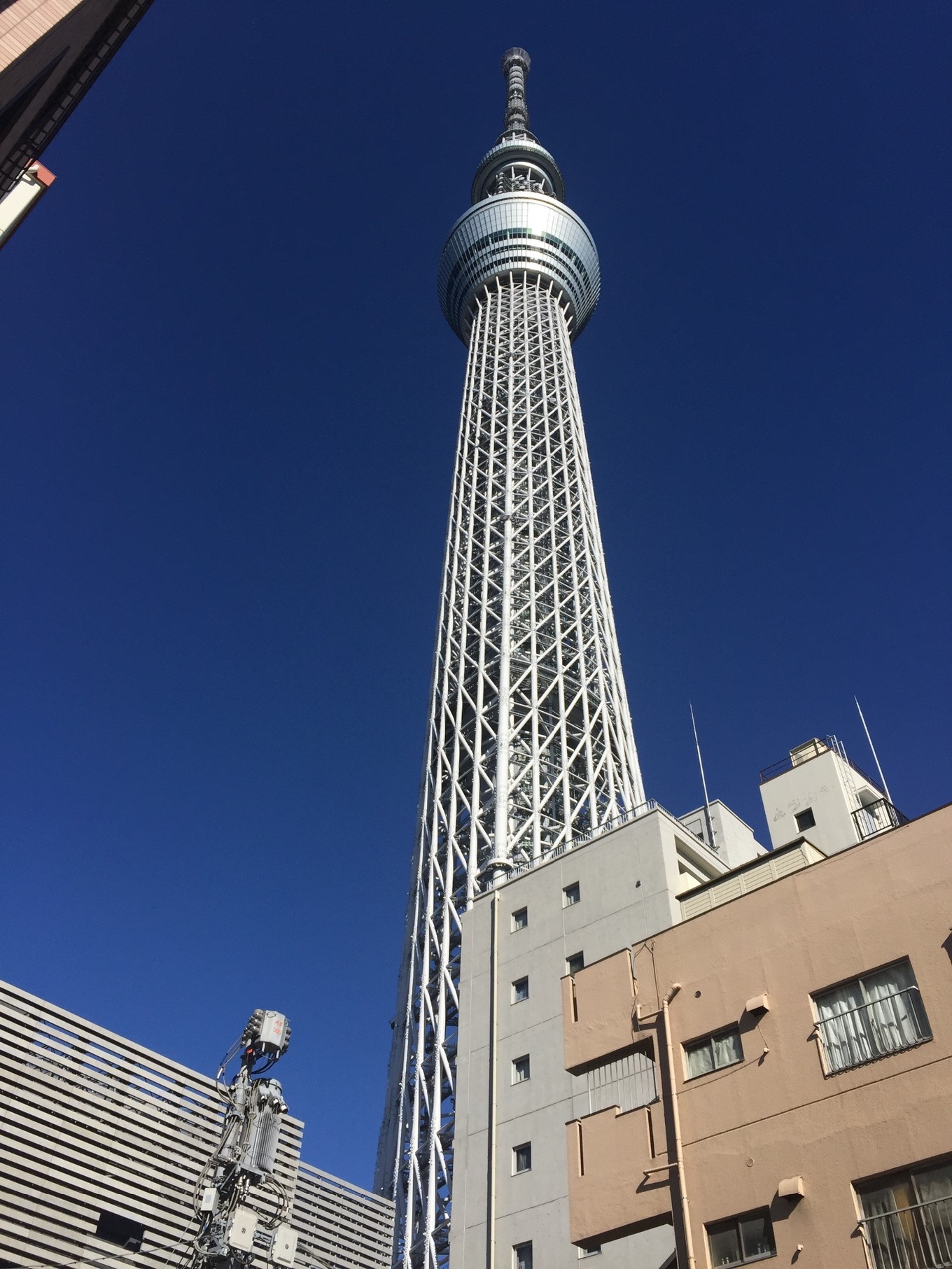 迷失在岛国——东京、京都、大阪7天经典游