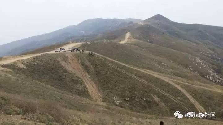 陪伴是最长情的告白——我和切诺基的故事