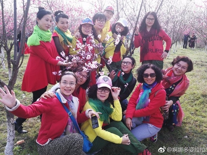 西安长安区赏桃花的地方最新,西安王莽万亩桃花盛开