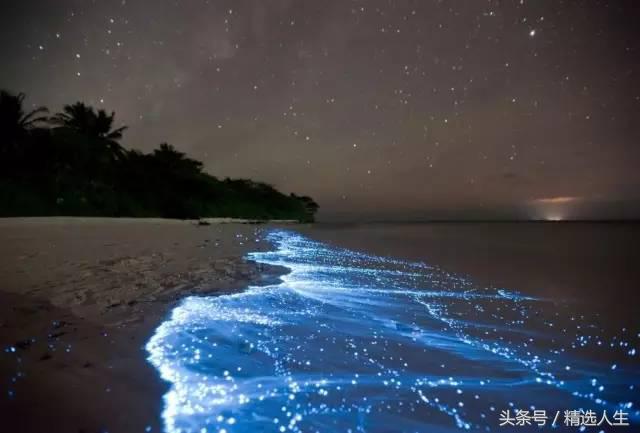 去了好多次海边,去了很多次的沙滩