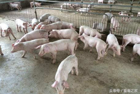 春季腹泻是诺如病毒吗,春季儿童呕吐腹泻