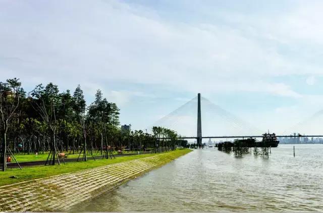 武昌江滩汉口江滩汉阳江滩,汉阳江滩汉口江滩武昌江滩