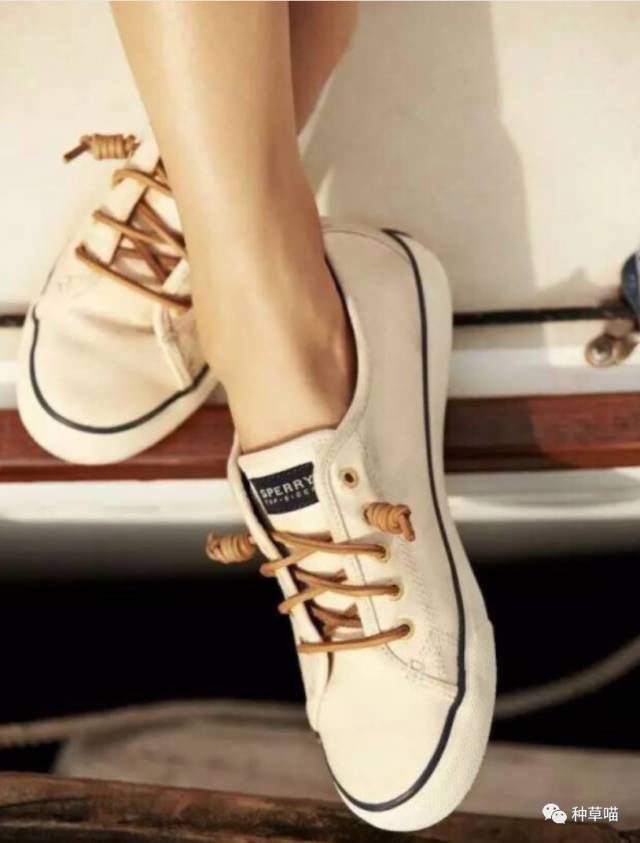 最惊艳的小白鞋,最美小鞋柜