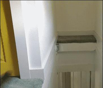 后面的那个小胖子，知道你很可爱，快走开我还要拍照呢！