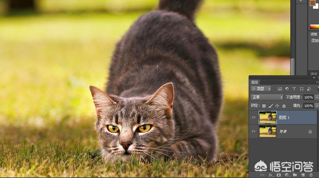 拍了一张照片怎么用ps处理,ps怎么矫正拍歪的照片