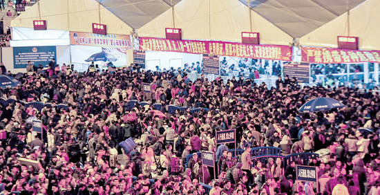 甜蜜负担歌词完整版,甜蜜负担2004