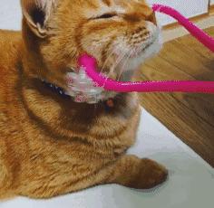 雨神萧敬腾逃不过雨神这个梗,雨神萧敬腾暴雨