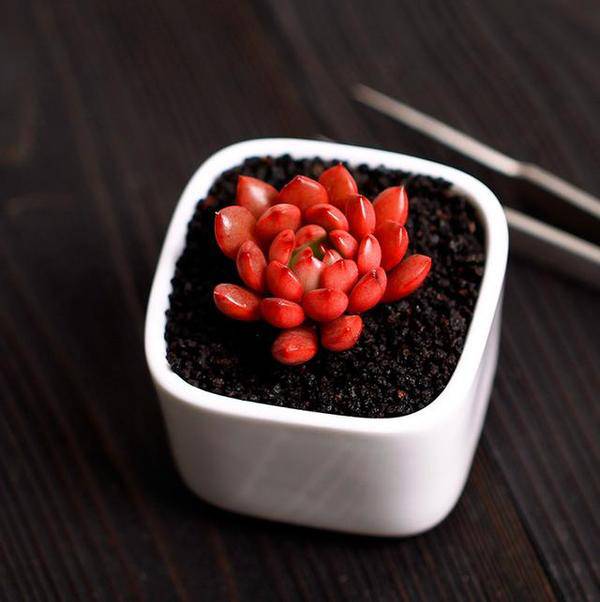 王者荣耀英雄pk古代英雄,王者荣耀遇到多肉阵容怎么办