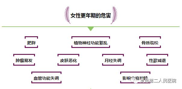 健康与亚健康讲座视频,健康养生与心理疏导讲座