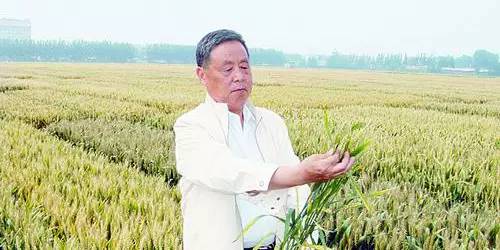 青岛农大近期新闻,青岛农大好吗