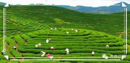 信阳周边两天一夜旅游推荐,五一信阳周边游玩攻略两天一晚