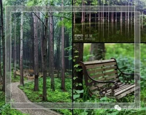 信阳周边两天一夜旅游推荐,五一信阳周边游玩攻略两天一晚