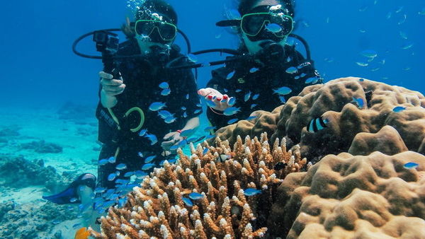 每当海岛又下起了雨赏析,每当海岛又下起了雨小说