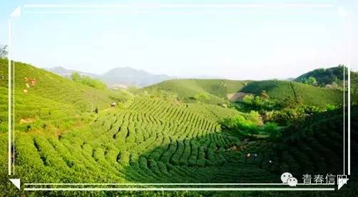 信阳周边两天一夜旅游推荐,五一信阳周边游玩攻略两天一晚