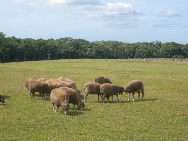私北海道（完附名古屋小记）,4