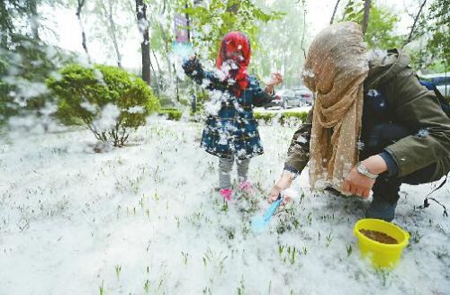 怎样预防杨絮过敏,杨絮过敏医生支招