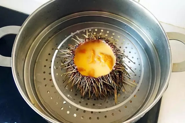 海胆营养丰富,海胆营养辅食有哪些做法